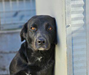 01-24_Nerone29