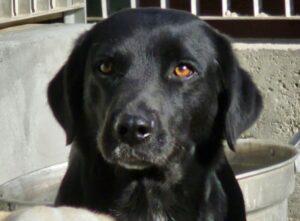 01-24_Nerone3