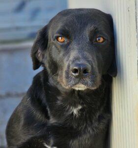 01-24_Nerone30