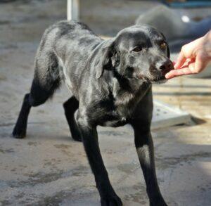 01-24_Nerone8