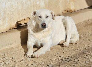 01-24_Pupi4
