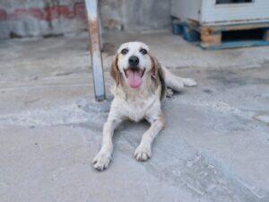 09_24_Carmencita 1