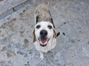 09_24_Carmencita 3
