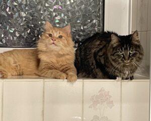 Bello und Leni_2_