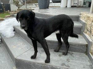 01_25_Nerone 1