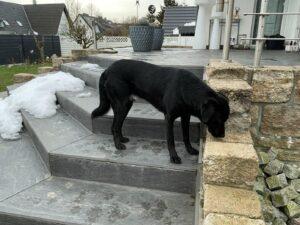 01_25_Nerone 3