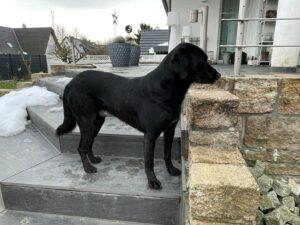 01_25_Nerone 5