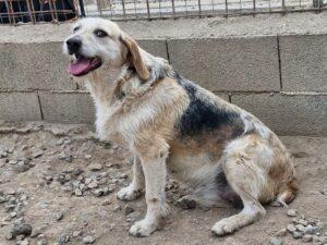 04-25_Carmensita8b