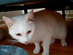 Filippa_PS_2025-11_1