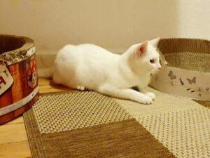 Filippa_PS_2025-12_5