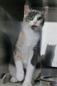 Romina_08.2025_3