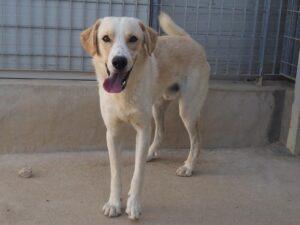 07-25_Carmensito_1