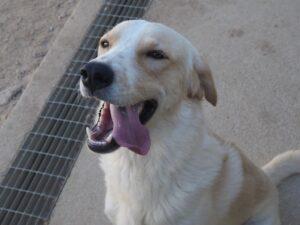 07-25_Carmensito_3