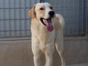 07-25_Carmensito_4