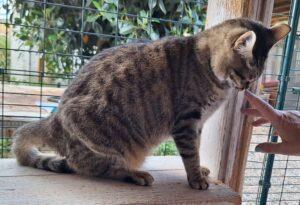 Catella_10.2025_3