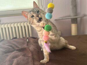 Molly_PS_06-26_2