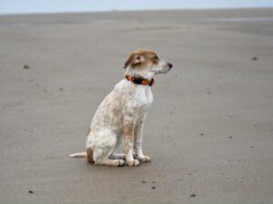 IMG-20251230-WA0005