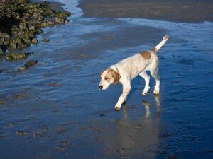IMG-20251230-WA0008