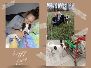 01.02.2026_Luce_HE
